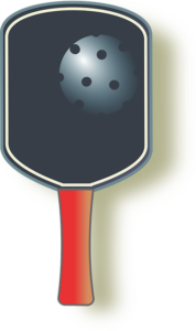 Funny pickleball stories: A Fun Journey of Triumphs and Tumbles!